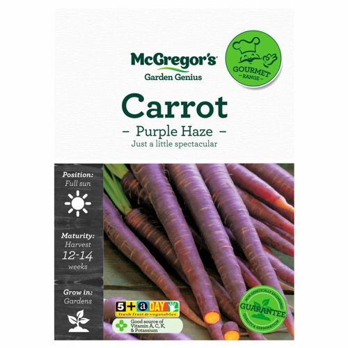 Purple Haze F1 Hybrid Carrot Gourmet Seed - McGregor's