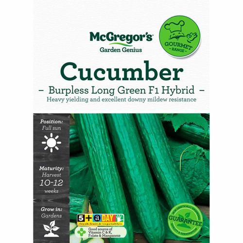 Burpless Long Green F1 Hybrid Cucumber Gourmet Seed - McGregor's