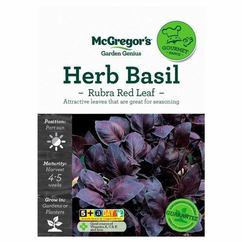 Rubra Red Leaf Basil Herb Gourmet Seed - McGregor's
