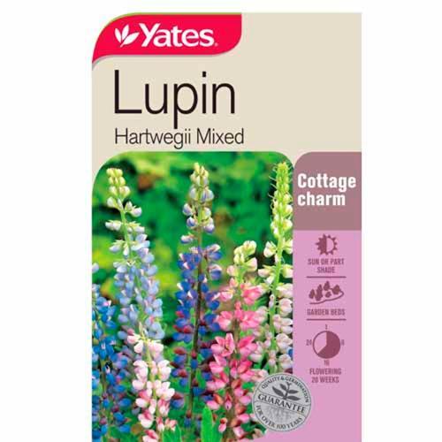 Lupin Hartwegii Mixed Seeds - Yates