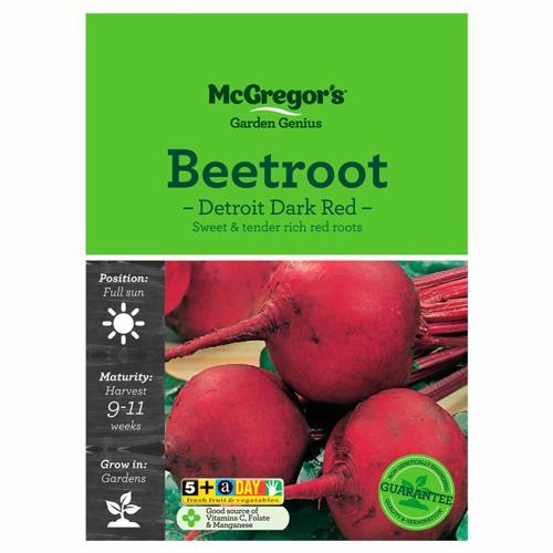 Detroit Dark Red Beetroot Seeds - McGregor's