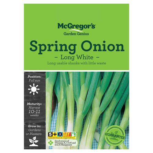 Long White Spring Onion Seeds - McGregor's