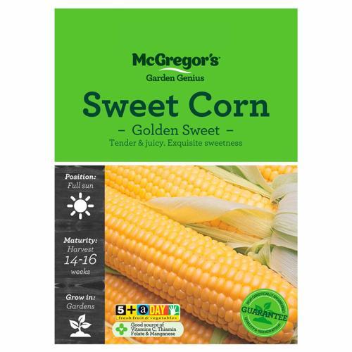 NZ Yellow Sweet Corn Seeds - McGregor's