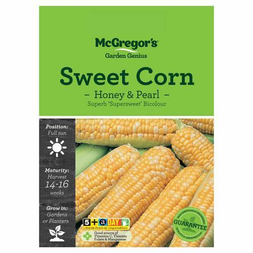 Honey N Pearl Corn Seeds - McGregor's