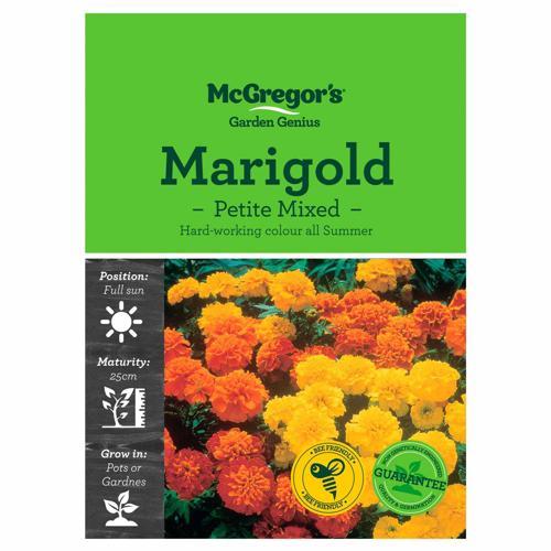 Petite Mixed Marigold Seeds - McGregor's