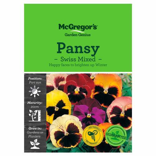 Swiss Mixed Pansy Seeds - McGregor's