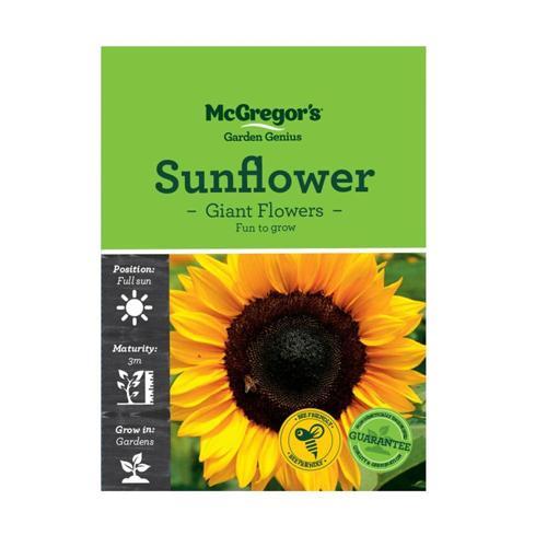 Giant Sunflower Seeds - McGregor's