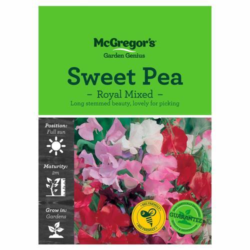 Royal Mixed Sweet Pea Seeds - McGregor's