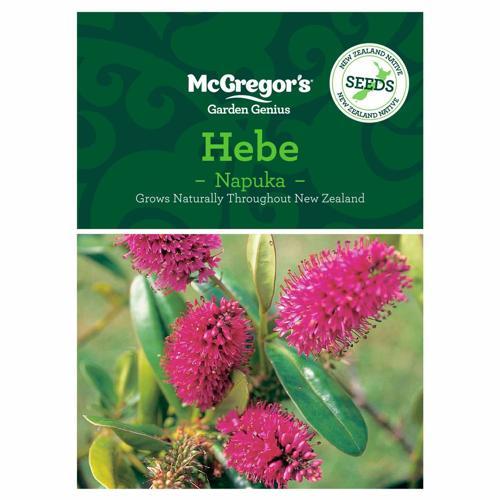 Hebe NZ Native Seed - McGregor's