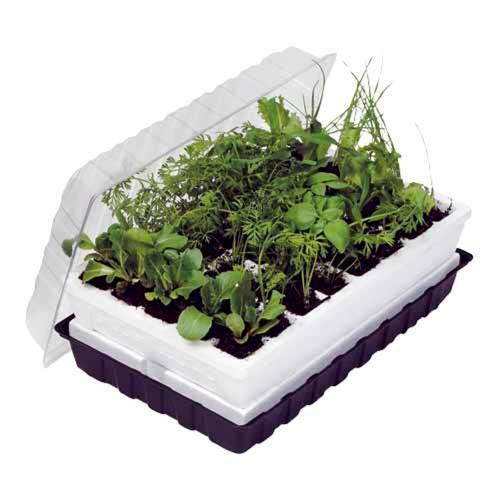 Self Watering Propagator - Parasene