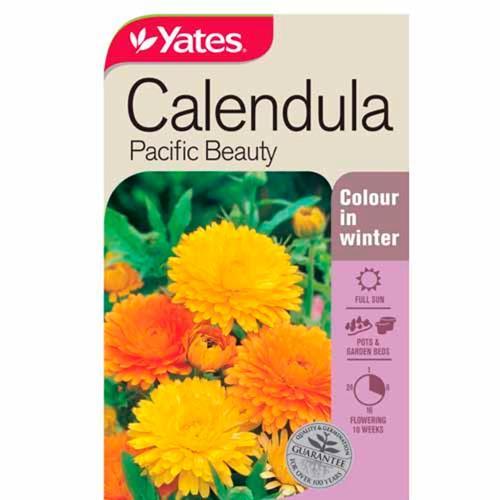 Calendula Pacific Beauty Seeds - Yates