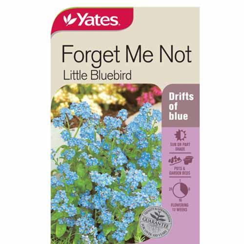 Forget Me Not Little Bluebird Seeds - Yates
