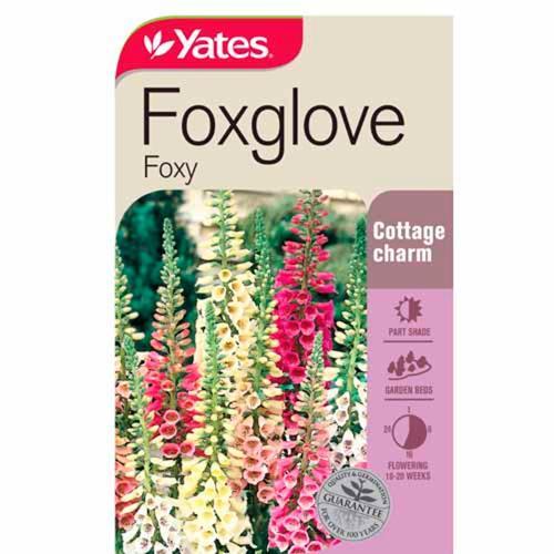 Foxglove Foxy Seeds - Yates