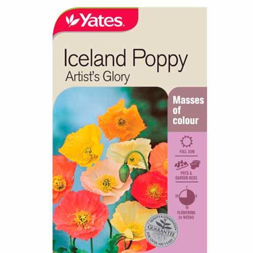 Poppy Iceland Artist's Glory Seeds - Yates