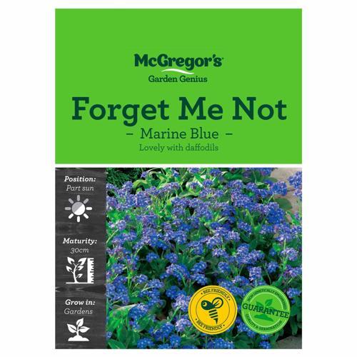 Marine Blue Forget Me Not Seeds - McGregor's