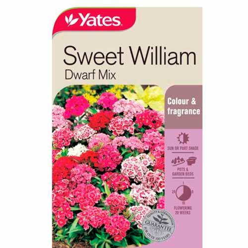 Sweet William Dwarf Mix Seeds - Yates