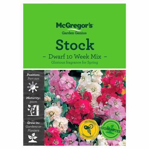 Dwarf, 10 Week Mix Seeds - McGregor's
