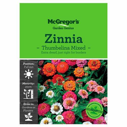 Thumbelina Mixed Zinnia Seeds - McGregor's