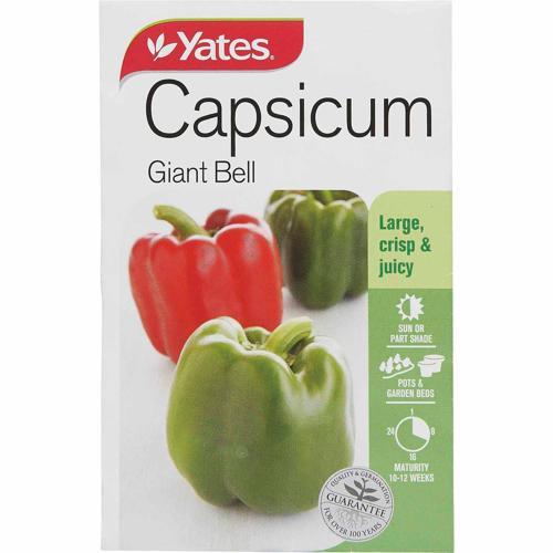 Capsicum 'Giant Bell' Seeds - Yates