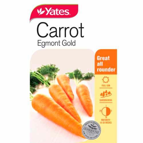 Carrot 'Egmont Gold' Seeds - Yates