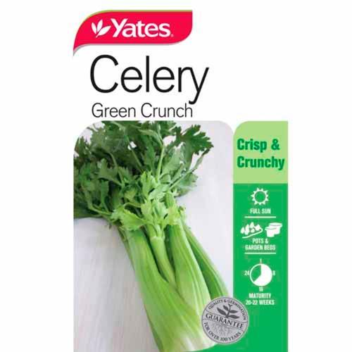 Celery 'Green Crunch' Seeds - Yates
