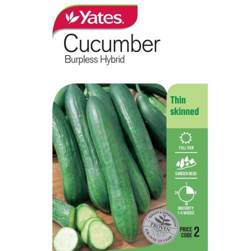 Cucumber 'Burpless' Seeds - Yates