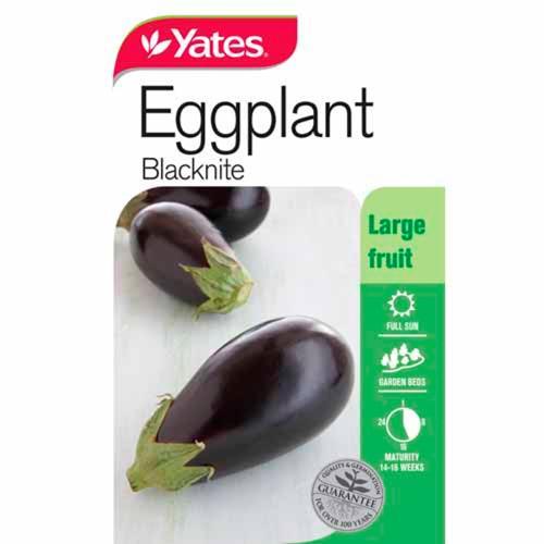 Eggplant 'Blacknite' Seeds - Yates