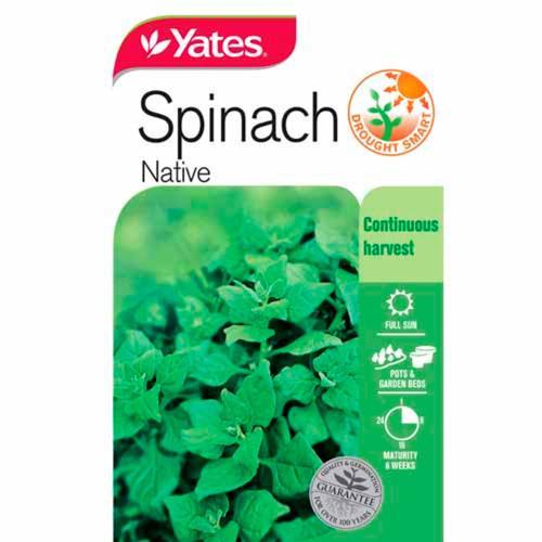 NZ Spinach 'Kokihi' Seeds - Yates
