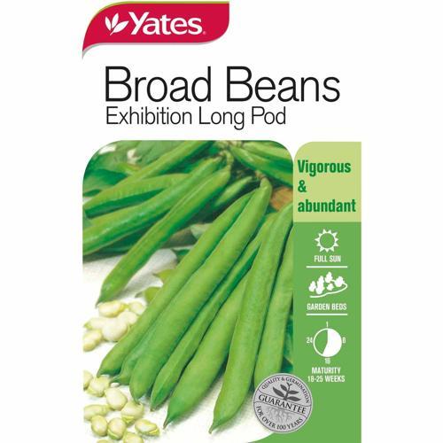 Broad Beans Exhibition Long Pod Seeds - Yates