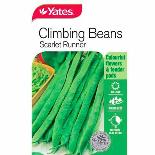 Beans Scarlet Runner Climbing Seeds - Yates