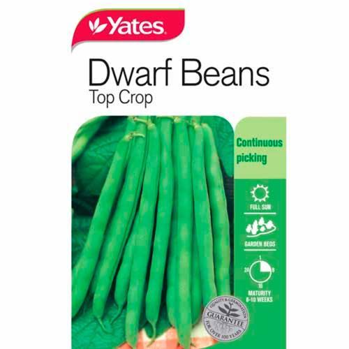 Beans Top Crop Dwarf Variety Seeds - Yates