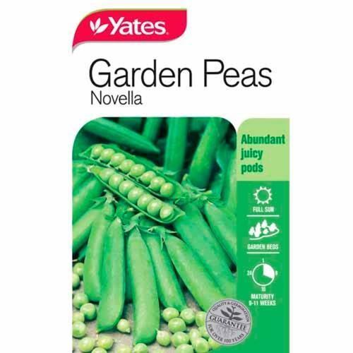 Vege Peas Novella Dwarf Seeds - Yates