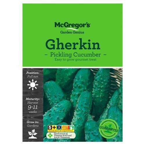 Pickling Cucumber Gherkin Seeds - McGregor's