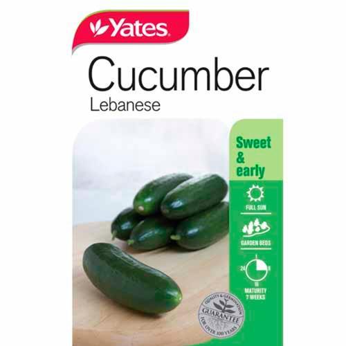 Cucumber 'Lebanese' Seeds - Yates