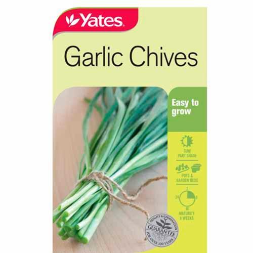 Chives Garlic Seeds - Yates