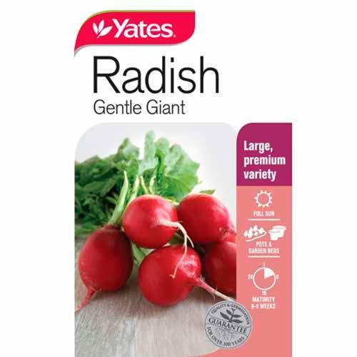 Radish 'Gentle Giant' Seeds - Yates