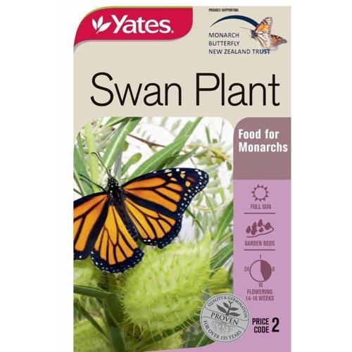 Swan Plant Seeds - Yates