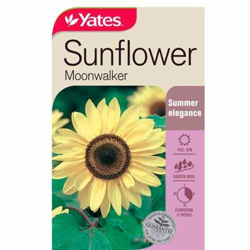 Sunflower Moonwalker Seeds - Yates