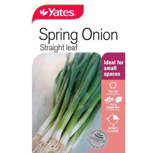 Spring Onion 'Straight Leaf' Seeds - Yates