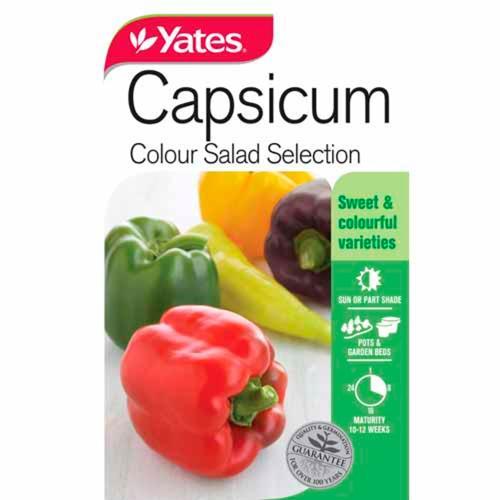 Capsicum 'Colour Salad Selection' Seeds - Yates