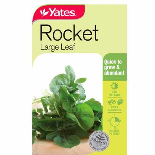 Rocket Large Leaf Seeds - Yates