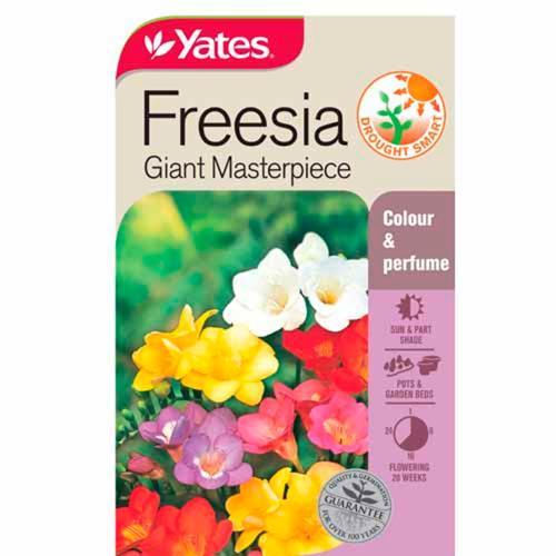 Freesia Giant Masterpiece 0.5g Seeds - Yates
