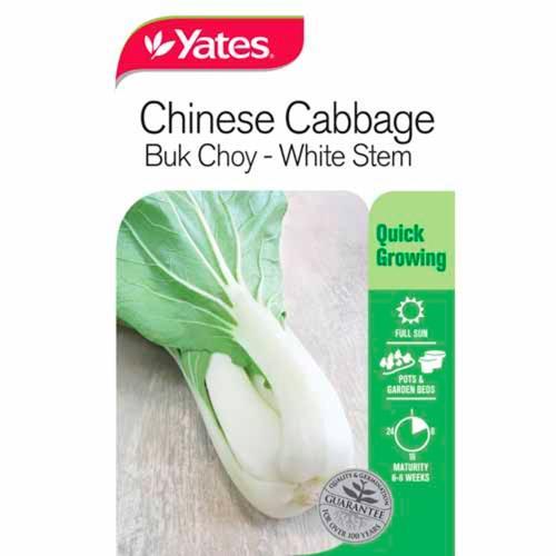Chinese Cabbage 'Bok Choy' White Stem Seeds - Yates