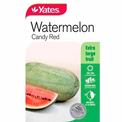 Watermelon Candy Red Seeds - Yates