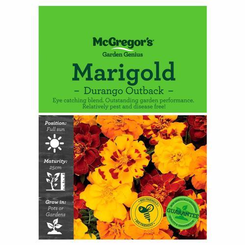 Durango Outback Marigold Seeds - McGregor's