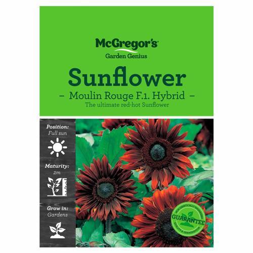 Moulin Rouge Sunflower Seeds - McGregor's