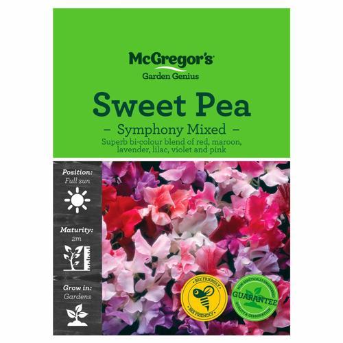 Symphony Mixed Sweet Pea Seeds - McGregor's