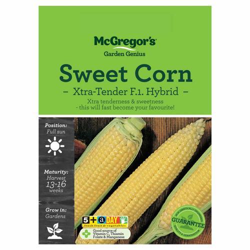 Xtra Tender Sweet Corn Seeds - McGregor's