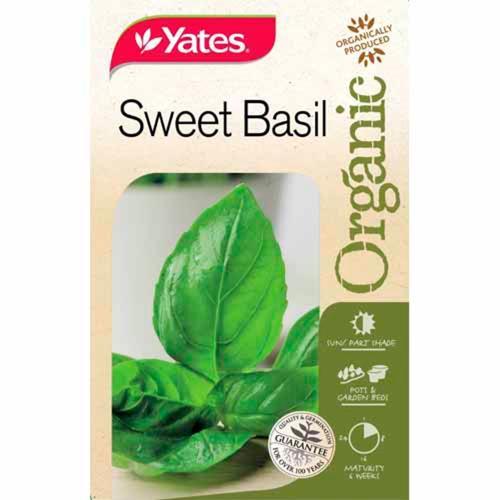 Organic Basil Sweet Seed - Yates