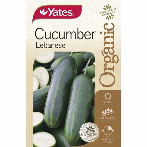 Organic Cucumber Lebanese Seed - Yates